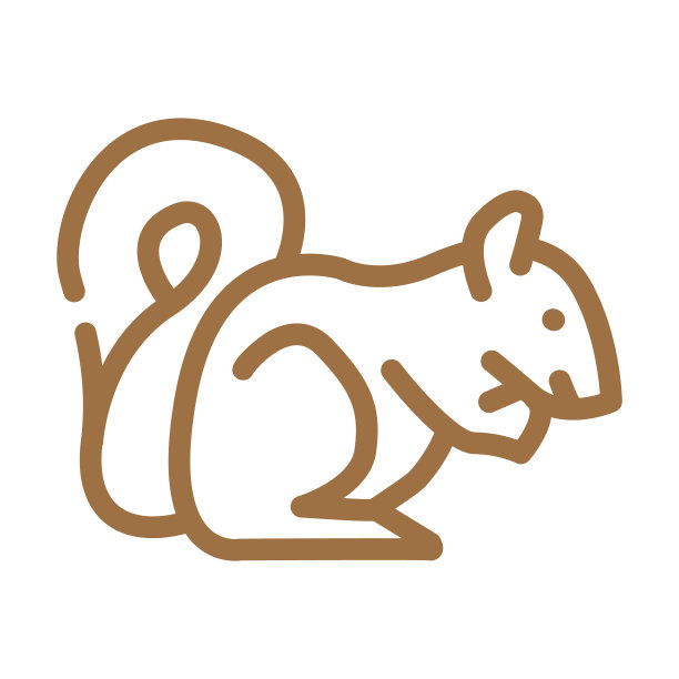 松鼠野生动物颜色图标矢量插图图片下载