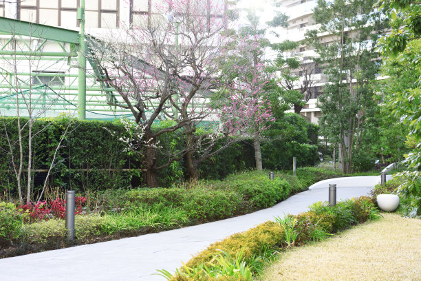 办公园区图片下载