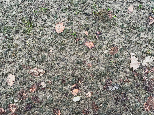 质地或背景的石质沙质土壤. ...图片下载