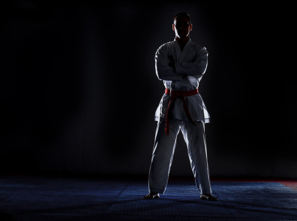 武术大师在健身房搏击训练图片下载