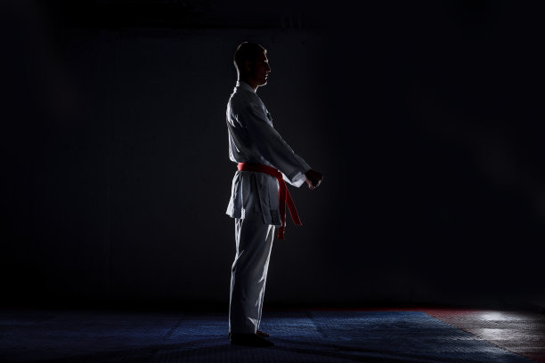 专业空手道拳手。孤立在黑暗的背景上图片下载