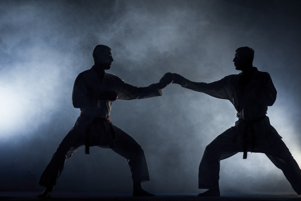 那个穿白和服黑带练空手道的家伙图片下载