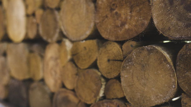 一个模糊的焦点堆堆叠的自然锯木原木纹理为背景图片下载