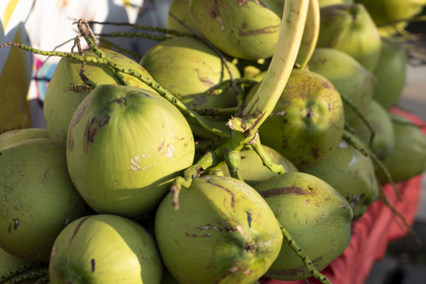 椰子超市里出售各种各样的新鲜食品。图片下载