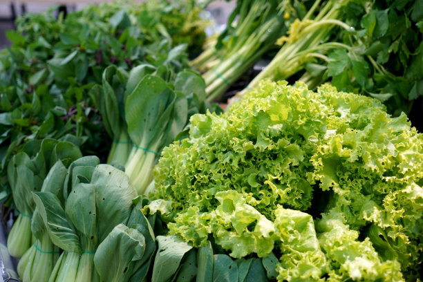 超市里出售各种绿色蔬菜的新鲜食品。图片下载