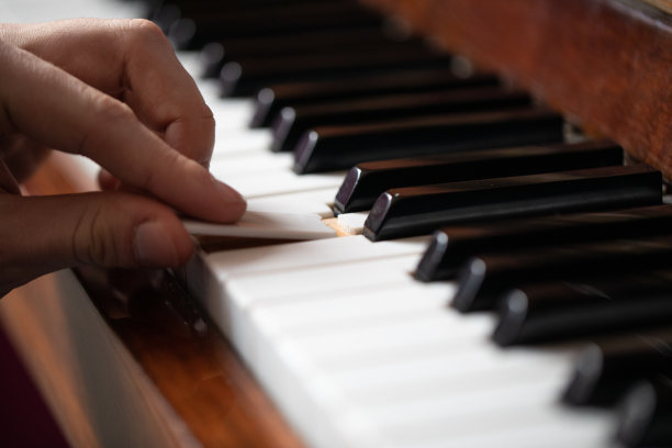 艺术家修理钢琴图片下载