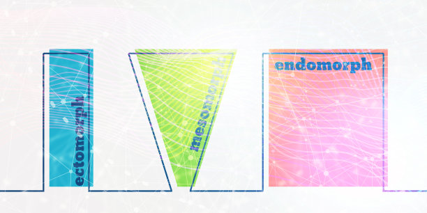 Body类型图标设置。外形、中形和内形。图片下载