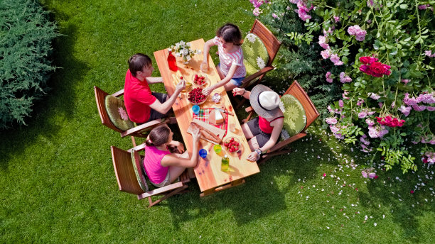 家人和朋友一起在户外参加夏日花园聚会。从上面鸟瞰餐桌上的食物和饮料。休闲、度假、野餐的理念图片下载