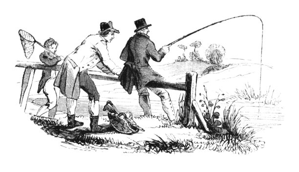 从河岸钓鱼图片下载