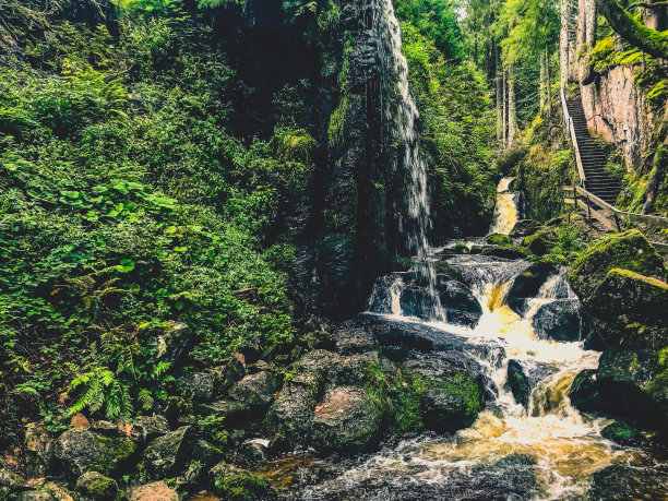 黑森林的瀑布。图片下载