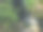 黑森林的瀑布。图片下载