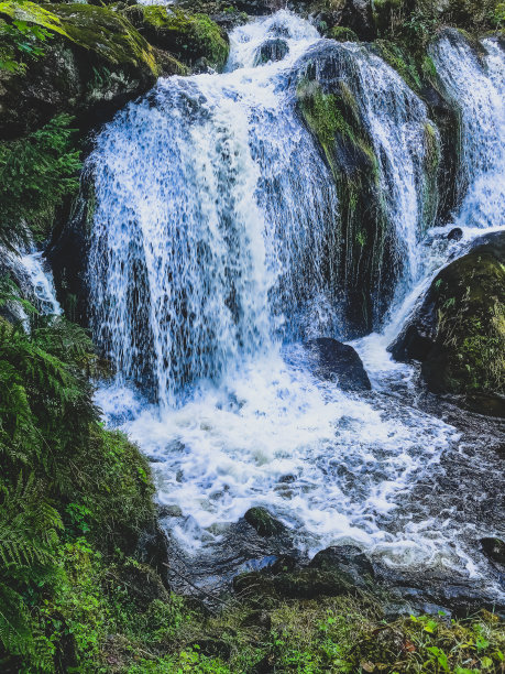 黑森林的瀑布。图片下载