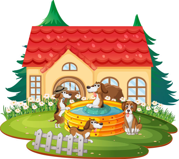 狗在房子前面的游泳池里玩耍图片下载