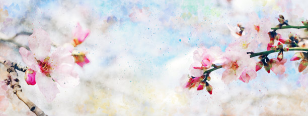 水彩风格和抽象形象的樱花图片下载