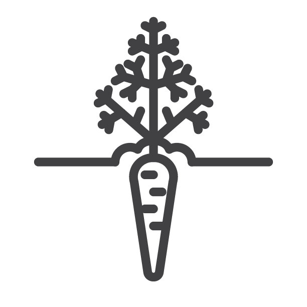 胡萝卜植物生长线图标图片下载