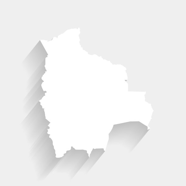 白色玻利维亚地图上的灰色背景，矢量，插图图片下载