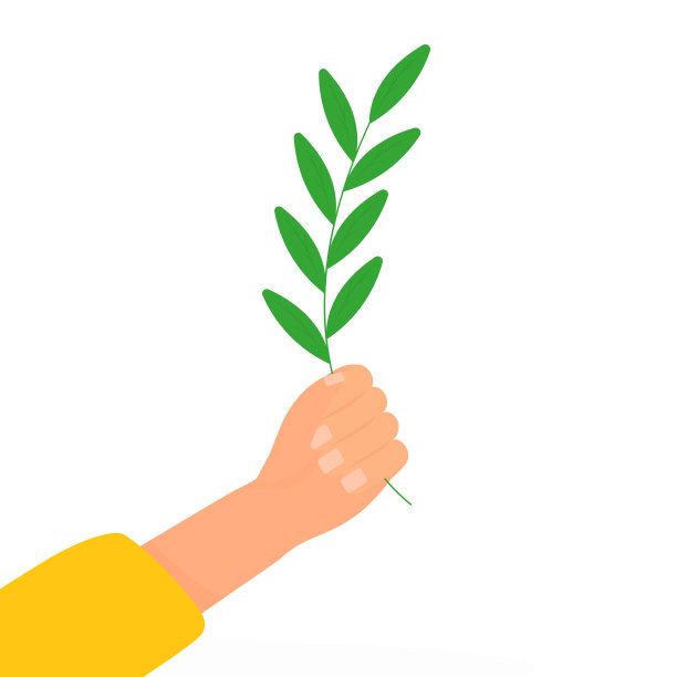 一只手拿着白色背景的橄榄枝图片下载