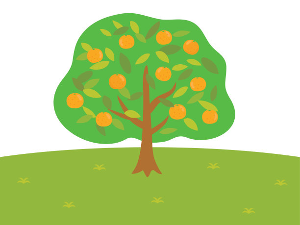 橘子树的景色。图片下载