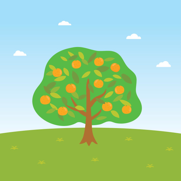 橘子树的景色。图片下载