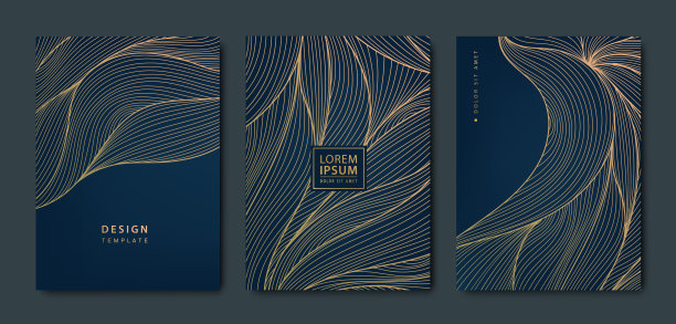 矢量日本背景与黄金纹理。豪华黑色波浪线条图案。高级背景，商业布局，纹理印刷，海报，书，封面图片下载