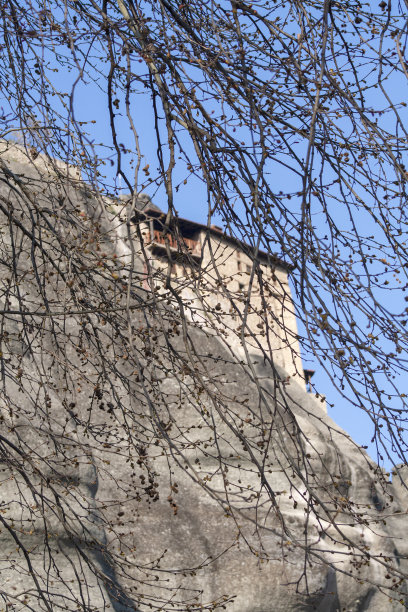 从树枝后面眺望到高等修道院图片下载