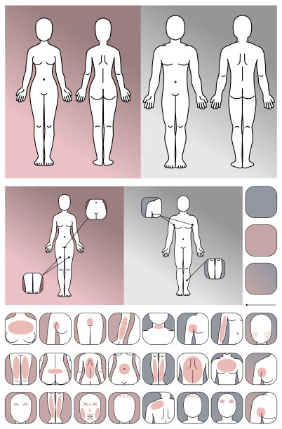 卡通男性和女性身体部位概念与前和后视图脸肩膀躯干胳膊腿臀部脚膝盖胸部腹部矢量插图集为医疗和美容图片下载