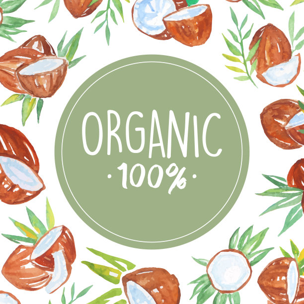 水彩椰子和热带树叶图片下载