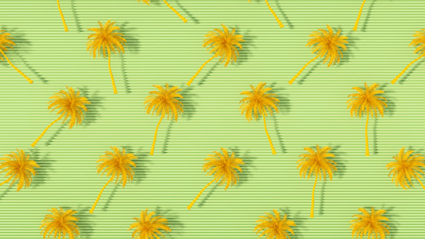 棕榈树在绿色的背景在阳光夏日假日旅游概念图片下载