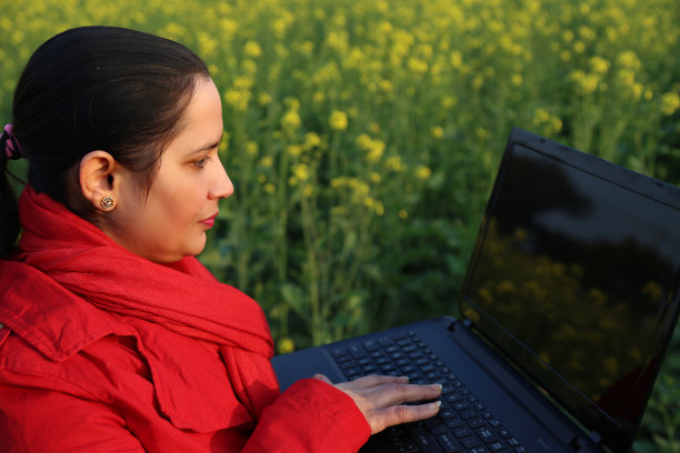 农村妇女在户外使用笔记本电脑图片下载