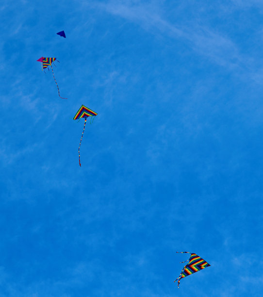 共同的爱好图片下载