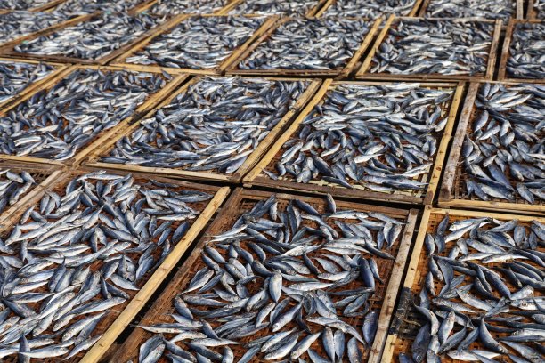晒干的鱼，鱼市场的鱼汤图片下载