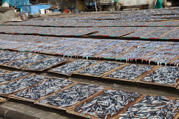 晒干的鱼，鱼市场的鱼汤图片下载