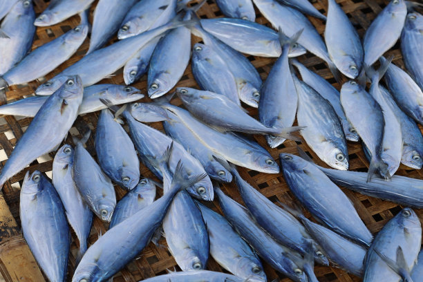 晒干的鱼，鱼市场的鱼汤图片下载