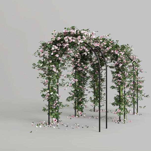 倾斜的白色背景上，三个带粉红色粉彩玫瑰的圆顶孤立图片下载