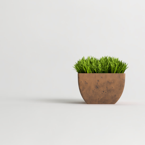 陶土盆栽植物孤立在光的背景上图片下载