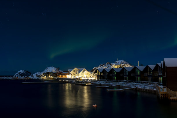 哈姆在塞尼亚图片下载