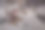 两枚金婚戒和白色背景上的玫瑰花。水平框中的图片。两枚结婚戒指和一张结婚请柬图片下载