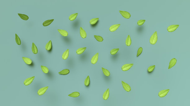 薄荷叶下降图片下载