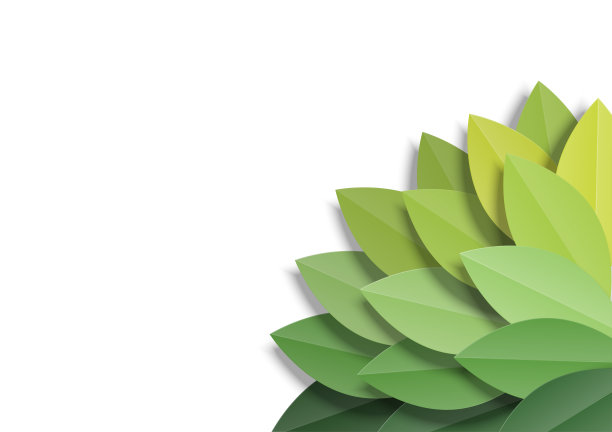 绿叶框架上的绿色背景。时尚折纸剪纸风格矢量插图。图片下载