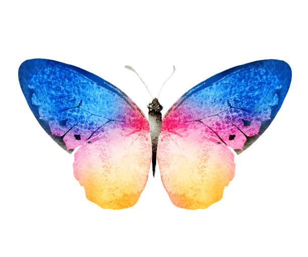 彩色水彩蝴蝶，孤立在白色背景上图片下载
