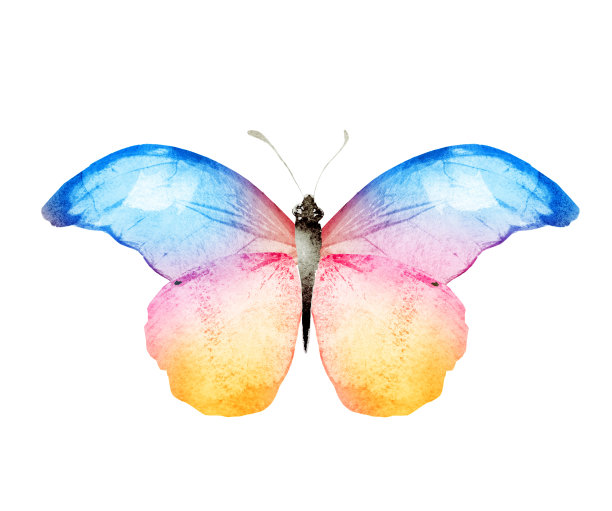 彩色水彩蝴蝶，孤立在白色背景上图片下载