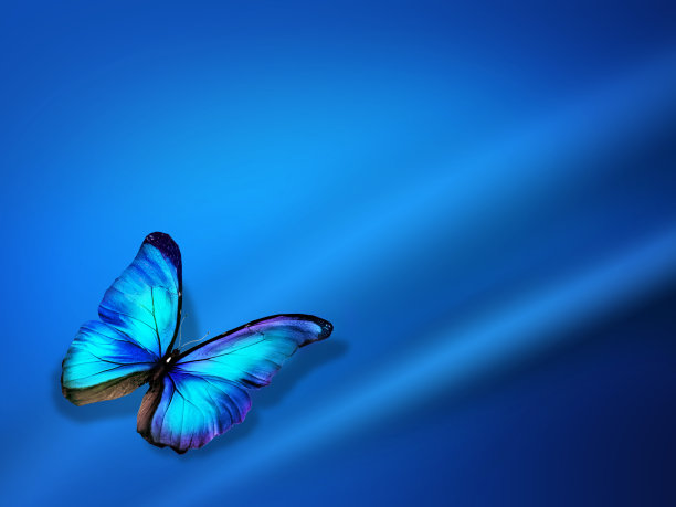 蓝色抽象背景与优雅的波浪图片下载