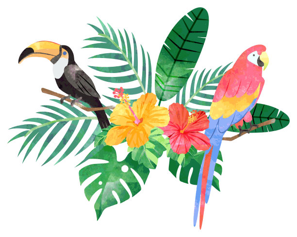 手绘水彩风格热带一点插图图片下载