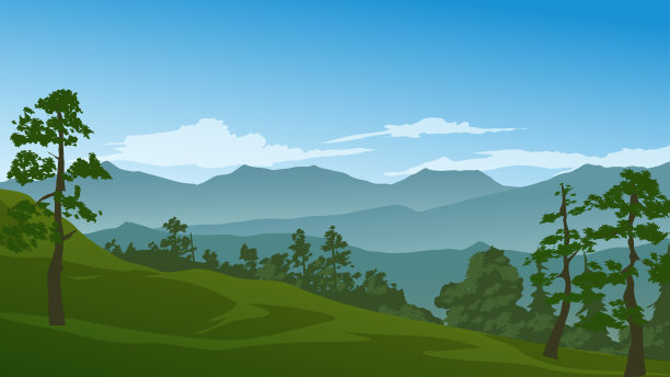 雾蒙蒙的林地景观图片下载