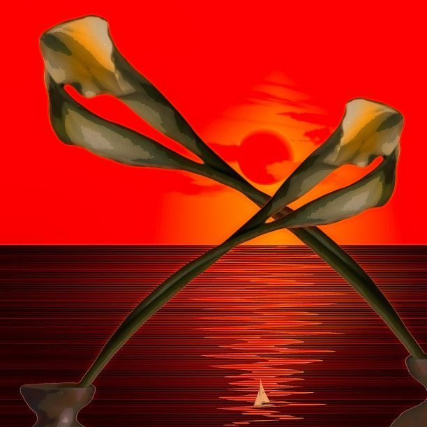 红色的日落和花朵图片下载