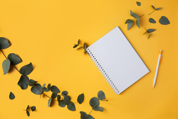 桉树叶子和一个笔记本，黄色的背景上有一支铅笔。放置文本，copyspace。图片下载