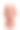 开士米女大衣孤立在白色上。砖色羊毛夹克衫，带皮带。图片下载