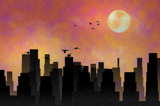 鸟类在城市图片下载