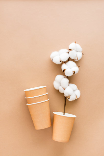 米色背景上的纸杯和棉花树枝。环保零浪费理念。顶部和垂直视图。图片下载