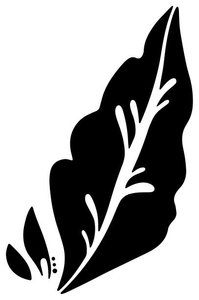 手绘的单色常春藤图案单项目矢量材料图片下载